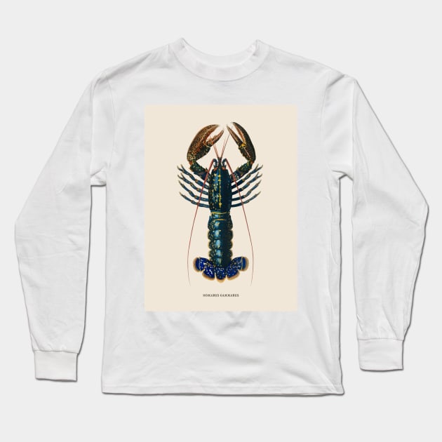 European Lobster Antique Naturalist Illustration Long Sleeve T-Shirt by Antiquated Art